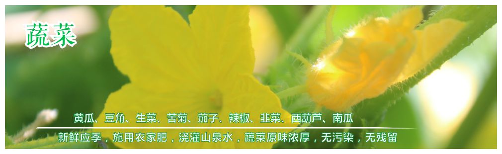 牧凯丰黑猪